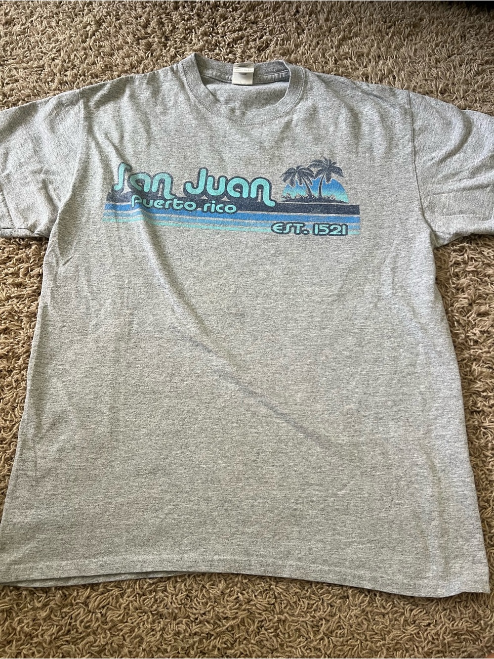 Vintage San Juan Puerto Rico Graphic T-Shirt Gray Adult M Crew Neck Short Sleeve